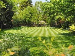 Striped lawn with mowing patterns, mature trees, and landscape beds